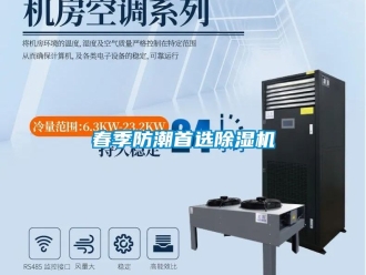 行业资讯春季防潮首选除湿机
