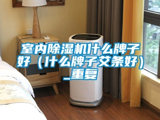 行业资讯室内除湿机什么牌子好（什么牌子艾条好）_重复