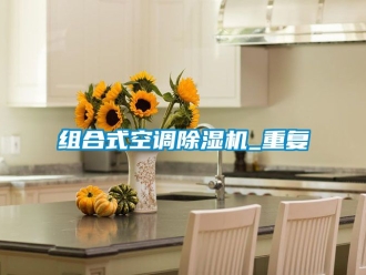 行业资讯组合式空调除湿机_重复