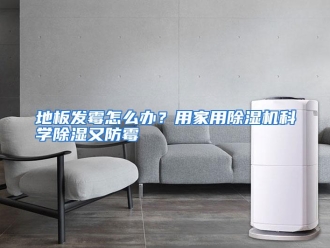 常见问题地板发霉怎么办？用家用除湿机科学除湿又防霉