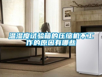 企业动态温湿度试验箱的压缩机不工作的原因有哪些