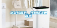 小型除湿机，快速除湿更舒适