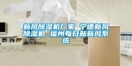 新风除湿机厂家 宁德新风除湿机 福州每日新新风系统