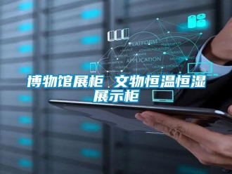 知识百科博物馆展柜 文物恒温恒湿展示柜