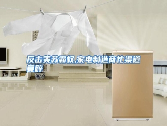 知识百科反击美苏霸权,家电制造商忙渠道复辟