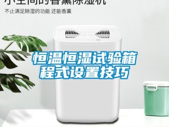 知识百科恒温恒湿试验箱程式设置技巧