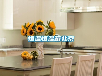 知识百科恒温恒湿箱北京