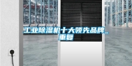 工业除湿机十大领先品牌_重复