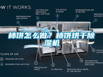 行业资讯柿饼怎么做？柿饼烘干除湿机