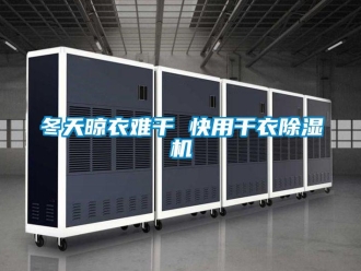 行业资讯冬天晾衣难干 快用干衣除湿机