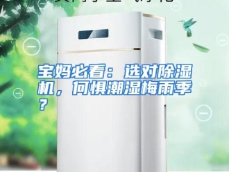 常见问题宝妈必看：选对除湿机，何惧潮湿梅雨季？