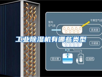 常见问题工业除湿机有哪些类型