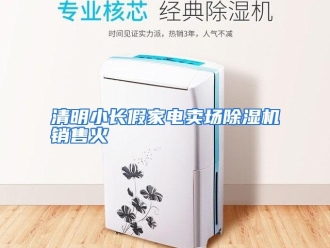行业资讯清明小长假家电卖场除湿机销售火