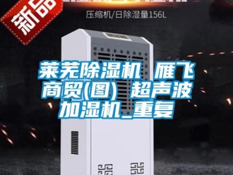 行业资讯莱芜除湿机 雁飞商贸(图) 超声波加湿机_重复