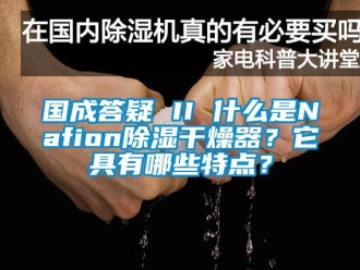 行业资讯国成答疑 II 什么是Nafion除湿干燥器？它具有哪些特点？