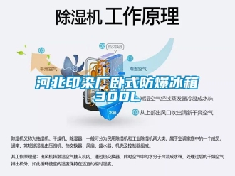 企业动态河北印染厂卧式防爆冰箱300L