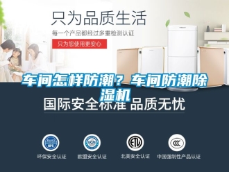 企业动态车间怎样防潮？车间防潮除湿机