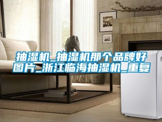 企业动态抽湿机_抽湿机那个品牌好图片_浙江临海抽湿机_重复