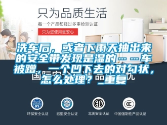 企业动态洗车后，或者下雨天抽出来的安全带发现是湿的……车被蹭，一个凹下去的对勾状，怎么处理？_重复