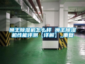 行业资讯狮王除湿机怎么样 狮王除湿机性能评测【详解】_重复