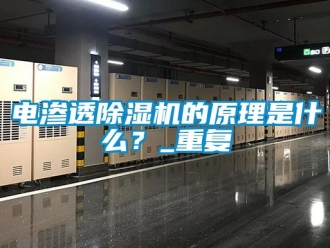 行业资讯电渗透除湿机的原理是什么？_重复