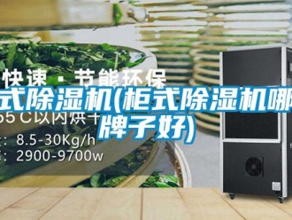 行业资讯柜式除湿机(柜式除湿机哪个牌子好)