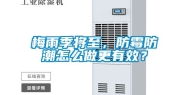 梅雨季将至，防霉防潮怎么做更有效？