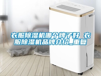 企业动态衣服除湿机哪个牌子好 衣服除湿机品牌介绍_重复