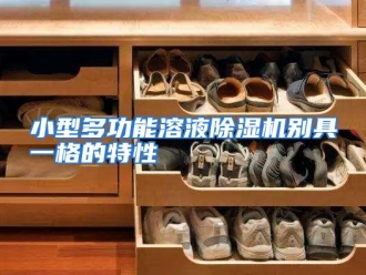 企业动态小型多功能溶液除湿机别具一格的特性