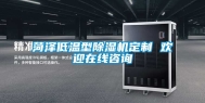 菏泽低温型除湿机定制 欢迎在线咨询