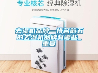 行业资讯去湿机品牌—排名前五的去湿机品牌有哪些_重复