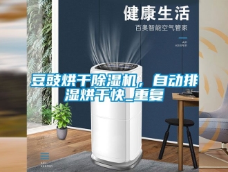 行业资讯豆豉烘干除湿机，自动排湿烘干快_重复