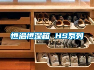 知识百科恒温恒湿箱 HS系列