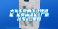 大功率商用工业除湿机 机房抽湿机 厂房抽湿机_重复