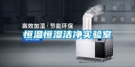 恒温恒湿洁净实验室