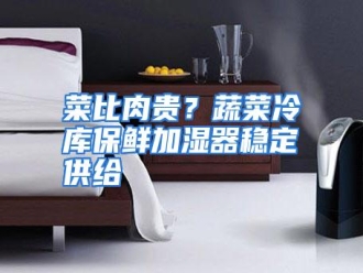 知识百科菜比肉贵？蔬菜冷库保鲜加湿器稳定供给