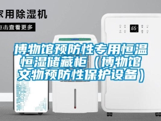 知识百科博物馆预防性专用恒温恒湿储藏柜（博物馆文物预防性保护设备）