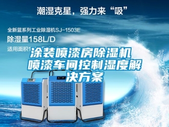 企业动态涂装喷漆房除湿机 喷漆车间控制湿度解决方案