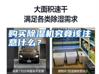常见问题购买除湿机究竟该注意什么？