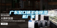 广东黎口镇工业除湿机厂家