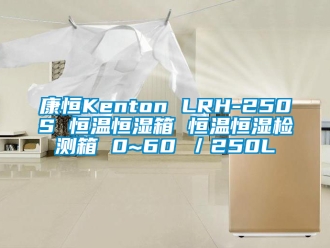知识百科康恒Kenton LRH-250S 恒温恒湿箱 恒温恒湿检测箱 0~60℃／250L