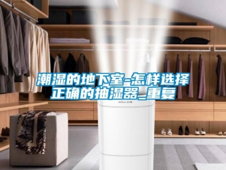 企业动态潮湿的地下室-怎样选择正确的抽湿器_重复