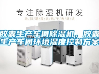 企业动态胶囊生产车间除湿机，胶囊生产车间环境湿度控制方案
