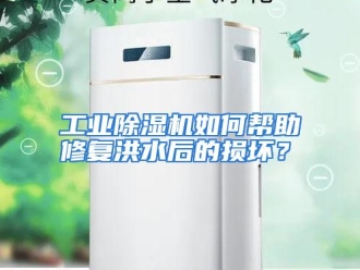常见问题工业除湿机如何帮助修复洪水后的损坏？