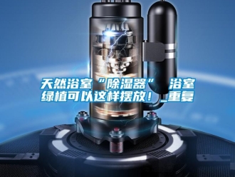 行业资讯天然浴室“除湿器” 浴室绿植可以这样摆放！_重复