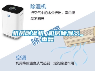 行业资讯机房除湿机 机房除湿器_重复