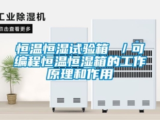 知识百科恒温恒湿试验箱 ／可编程恒温恒湿箱的工作原理和作用
