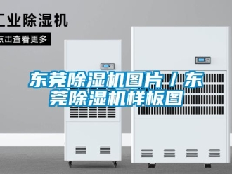 行业资讯东莞除湿机图片／东莞除湿机样板图