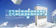 空气净化除湿机品牌有哪些 空气净化除湿机如何保养_重复