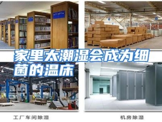 企业动态家里太潮湿会成为细菌的温床